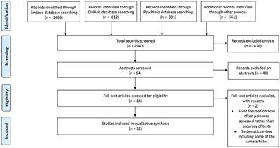 Properties of Pain Assessment Tools for Use in People Living With Stroke: Systematic Review